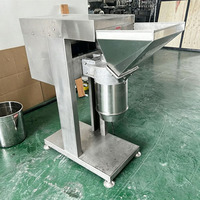 Broyeur de fruits et légumes, machine à broyer le gingembre et les fruits à usage commercial
