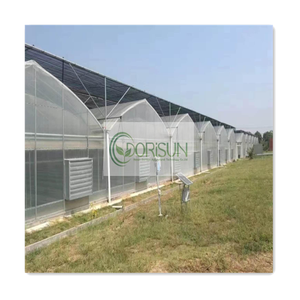 Semplice e facile da operare, che a <span class=keywords><strong>tutti</strong></span> piace usare la serra agricola Multi Span - Product Image 3