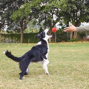 Meilleure Vente - Ballon pour Chien Indétructible en Caoutchouc TPR Robuste et Durable, Couleurs Variées, Luxe Moyen, Très Fiable, pour Mâcher ZC-241024-47 - Product Image 4