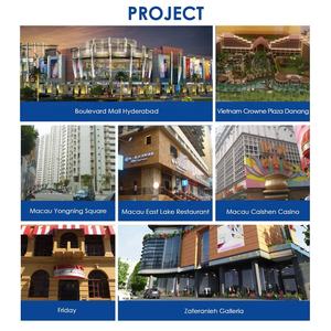 Ascensor Residencial Económico Estándar FUJICL <span class=keywords><strong>para</strong></span> 2-4 Personas, Elevador Personalizable <span class=keywords><strong>para</strong></span> Casa Pequeña, Fácil Instalación - Product Image 5