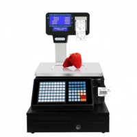 Balance électronique de plateforme 30 kg avec imprimante de reçus et automatisation PLC – Offre Spéciale – Garantie 1 an