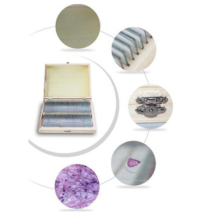 학교 교육용 고정된 생물학 조직학 준비된 현미경 슬라이드 100개 세트 - Product Image 4