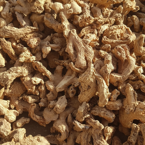 Rodajas de Jengibre Seco de Nueva Cosecha de Vietnam / Jengibre Seco Natural Secado al Sol para Exportación - Product Image 1