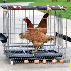 Offre Spéciale élevage poulet cages cages en fer