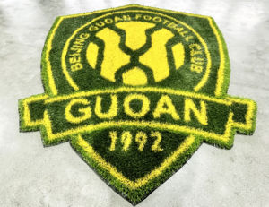 <span class=keywords><strong>Beau</strong></span> Design LOGO 3D <span class=keywords><strong>Gazon</strong></span> Artificiel Intérieur Extérieur Décoration Paysage Motif 3D Herbe - Product Image 6