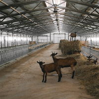 Structure en acier préfabriquée pour bâtiments agricoles, étable à vaches, bergerie, bâtiment pour moutons/bovins/laitiers/chèvres, hangar à volailles, construction de porcherie