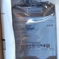 WUH721816ALE6L4 Hard Disk Internal Kelas Enterprise 16T 7.2K 3.5-inci