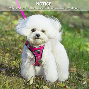 ペットハーネス調節可能犬用ハーネスカスタム大型チェストノープルベスト高級ソフトバックパックプライベートラベル - Product Image 2