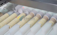 Machine de remplissage et de bouchage automatique de tubes pour comprimés effervescents, pour tubes PP de type bouteille droite