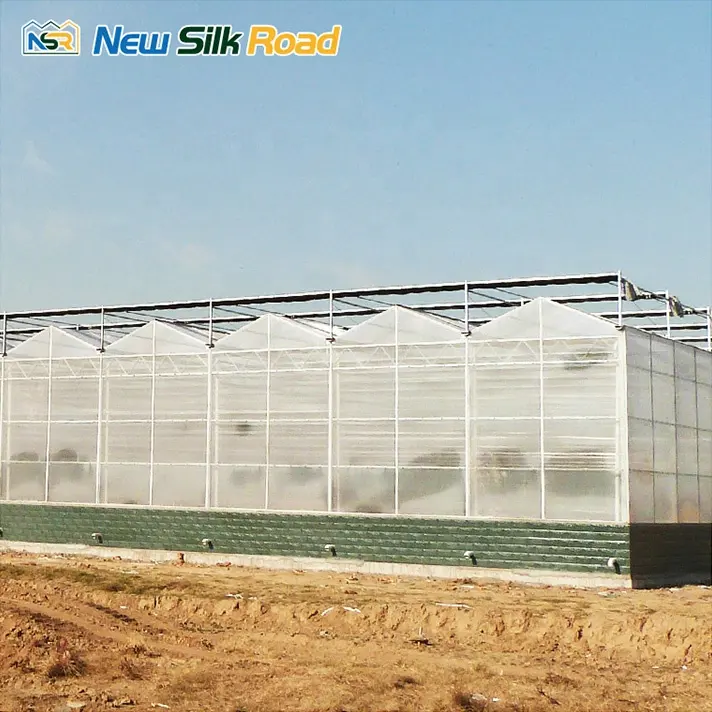 Màu xanh lá cây Nhà Nông nghiệp thương mại nhà kính trồng rau thiết bị nhà kính polycarbonate cho nông