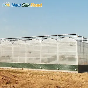 Rumah Hijau pertanian rumah kaca komersial tumbuh sayuran rumah kaca polikarbonat untuk agro