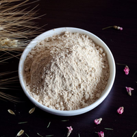 Extrait de levure de qualité alimentaire Extrait de levure en poudre avec haute teneur en paillettes Poudre d'extrait de levure