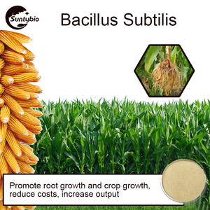 <strong>Probioticos</strong> Bacillus Subtilissoil Fertilizer Additive Plant Nutrition Probiotics Feed Grade Probiotic Powder - Product Image 2