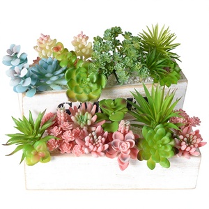 Planta Artificial de Simulación con Cabeza de Flor Carnosa, <span class=keywords><strong>Cactus</strong></span> Aloe en Maceta, Combinación de Plantas Verdes para Micro Paisajes - Product Image 1