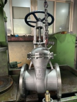 Vanne à opercule en acier inoxydable 6"/8"/10"/12"/14" DN150/DN200/DN250/DN300/DN350 316L/304/CF8M/CF3M/2205/2507 Classe 150 RF