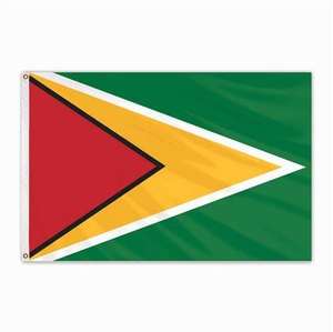 <span class=keywords><strong>Bandera</strong></span> de Brasil Poliéster de 3x5 pies Banderas nacionales bolivianas Poliéster con ojales de latón 3X5 pies - Product Image 5