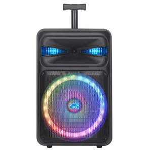 Enceinte amplifiée Corneta, enceinte amplifiée Bosinas de 8 pouces, haut-parleur de 8 pouces pour karaoké en plein air, chariot avec micro sans fil pour les fêtes - Product Image 1