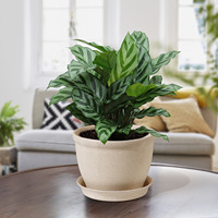 Deepbang Pot pot tanaman ramah lingkungan, Pot bunga dalam ruangan pot taman ramah lingkungan pabrik kualitas tinggi