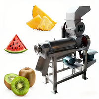 Petit extracteur de jus pour ananas, tomates, mangues, pulpe et lait de coco – Machine à jus de fruits en promotion