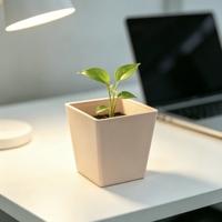 Pot de fleurs en plastique finition pierre, durable, écologique, pour plantes succulentes et cactus d'intérieur, accent décoratif moderne pour la maison et le jardin