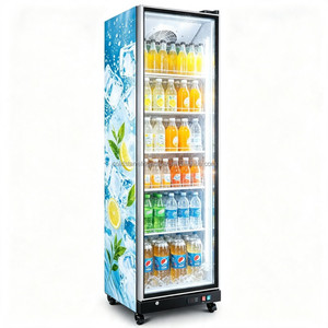 Meilleures ventes 2026 : Vitrine verticale domestique à porte vitrée intégrale et congélateur à boissons durable - Product Image 1