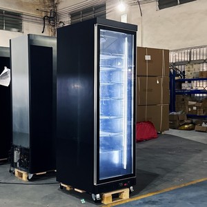 Meilleures ventes 2026 : Vitrine verticale domestique à porte vitrée intégrale et congélateur à boissons durable - Product Image 6