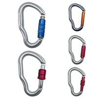 Mousqueton de sécurité professionnel en aluminium en forme de D, 24 kN, pour l'escalade, la montagne, équipement de sécurité robuste, karabiner