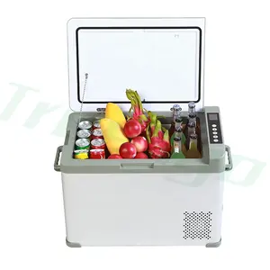 Wholesale China 40L low power consumption car mini fridge car fridge refrigerator cosmetic fridge