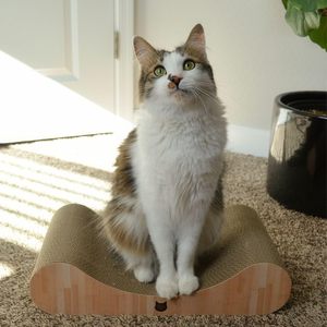 Fábrica Venda Quente Altamente Confortável Clássico Sofá <span class=keywords><strong>Cat</strong></span> Scratcher Curvo Madeira Eco-friendly Durável Pet <span class=keywords><strong>Toy</strong></span> Bed Indoor Use - Product Image 3