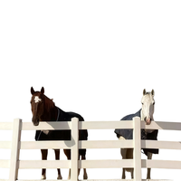 Clôture de ferme pour chevaux en PVC résistant aux intempéries, anti-rayures, pour la délimitation des ranchs d'élevage