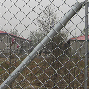 Clôture en treillis métallique électro-galvanisée Anping, clôture en fil de diamant - Product Image 3