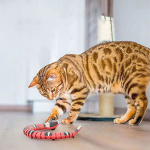 मजेदार इलेक्ट्रिक स्मार्ट सेंसिंग सांप रचनात्मक स्मार्ट सेंसिंग बिल्ली खिलौने इलेक्ट्रिक सांप स्वचालित यूएसबी रीचार्जेबल यथार्थवादी पालतू खिलौना - Product Image 6