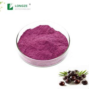 Bubuk buah <span class=keywords><strong>Acai</strong></span> alami murni semprot bubuk beri <span class=keywords><strong>Acai</strong></span> kering - Product Image 4