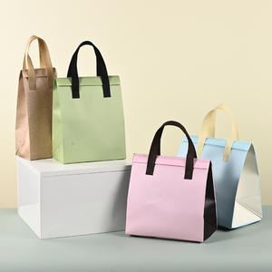 Paquete de 500 Bolsas Térmicas para Picnic, Impermeables, de Gran Capacidad, con Aislamiento Térmico, Modernas, Duraderas, de Tela No Tejida, para Paneles Solares - Product Image 1