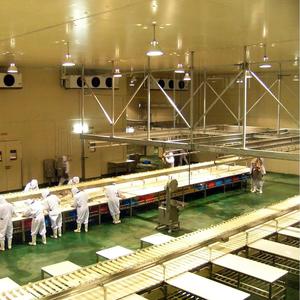 Industrielle Fleischschneide- und Entbeinungs-Förderlinie für die Verarbeitung von Schweine-, Rind- und Lammfleisch - Product Image 4