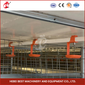 Cage de couveuse automatique pour poussins de type 2 portes durable avec système d'alimentation et d'abreuvement avec environnement de poulailler confortable - Product Image 2
