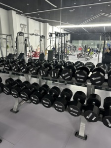 2025 nuevo estilo martillo gimnasio Fitness levantamiento de pesas entrenamiento de fuerza Q235 tubo de acero galvanizado estante con mancuernas de dos niveles a la venta - Product Image 4