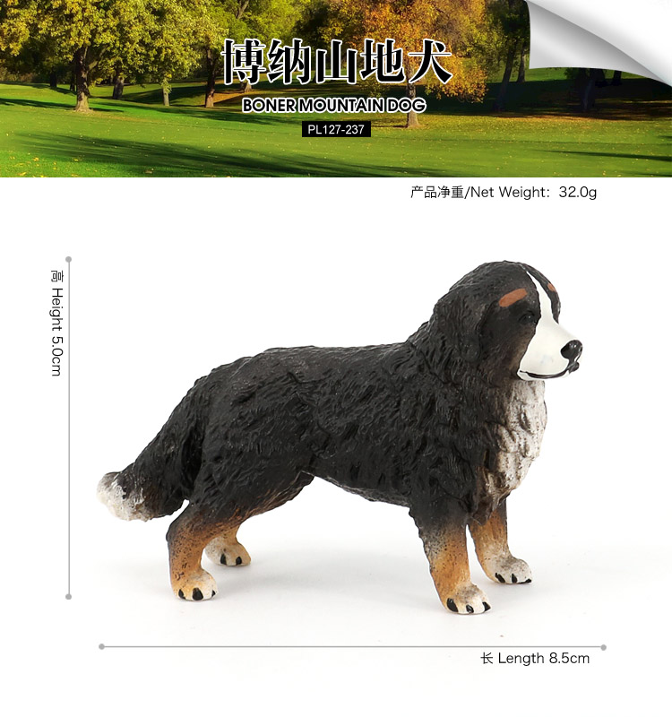 237Perro de montaña Boner