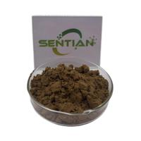 Bubuk Ekstrak Buah Monk Fruit Grosir Cina, Bubuk Jus Buah Monk Fruit, Bubuk Buah Monk Fruit