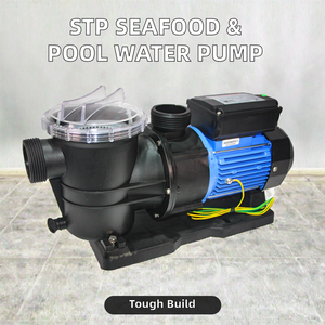 <span class=keywords><strong>Pompe</strong></span> centrifuge à faible pression à débit élevé et à vitesse <span class=keywords><strong>variable</strong></span> avec 1 an de garantie pour la circulation de l'eau des piscines commerciales - Product Image 6