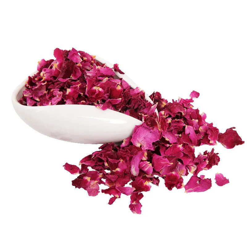 Té de flores de pétalo de rosa seco Té de rosas secas de hoja de Rosa orgánica