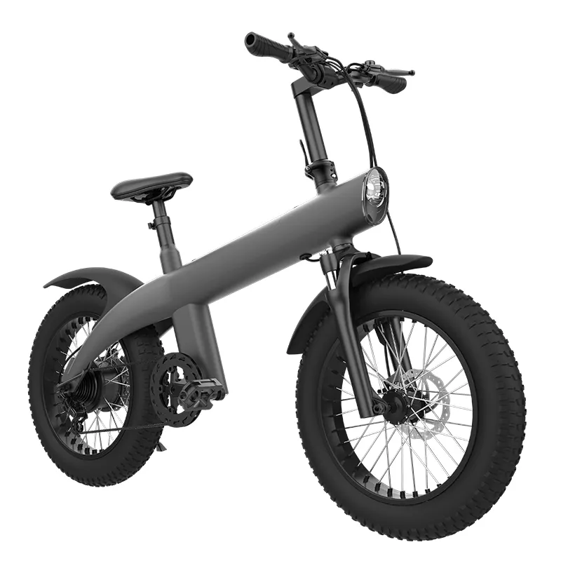1000W 48V Electric Bicycle 20 Inch 4.0 Fat Tire with 12.8A Battery Portable Fold Electric Mountain Bike
