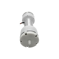 Vente en gros d'usine 555 Mini Micro Pompe à diaphragme à courant continu 6-24V Pompe à air à double tête à vide pour appareils ménagers