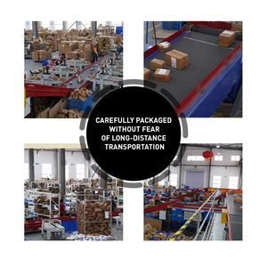 Marchio di proprietà di 60 compresse per controllare il peso, migliorare il metabolismo, sopprimere <span class=keywords><strong>l</strong></span>'<span class=keywords><strong>appetito</strong></span> e bruciare rapidamente i grassi - Product Image 5