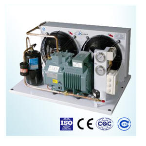 Unité de réfrigération Bitzer 20Hp JZBF20M JZBS20M refroidie par air ou par eau pour le stockage des légumes - Product Image 3