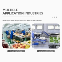 Kleine borstelrol groentewas- en schilmachine, commerciële groenteverwerkingsinstallatie, schilapparatuur