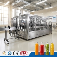Automatische 3-in-1 fruitsap hete vulmachine PET fles sapafvul productielijn