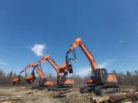 Tête de déboisement durable pour abatteuse d'arbres, haute précision, pour l'exploitation forestière individuelle et la récolte du bois