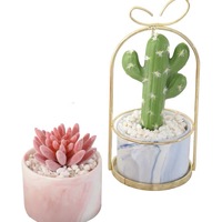 Paniers de fleurs suspendus en fil de métal doré d'approvisionnement d'usine en Chine Pot de fleurs décoratif de table Pot de plantes en fer facile à transporter