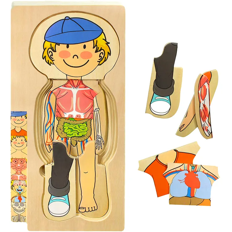 Factory Wholesale Multilayer Colorful Paint Wooden Toy Kids Educational Human Body Structure Puzzle